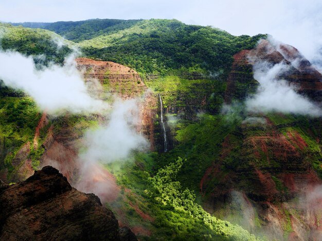 breathtaking-view-magnificent-foggy-mountains-cliffs-covered-with-tree_181624-7216